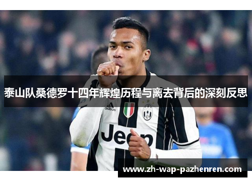 泰山队桑德罗十四年辉煌历程与离去背后的深刻反思
