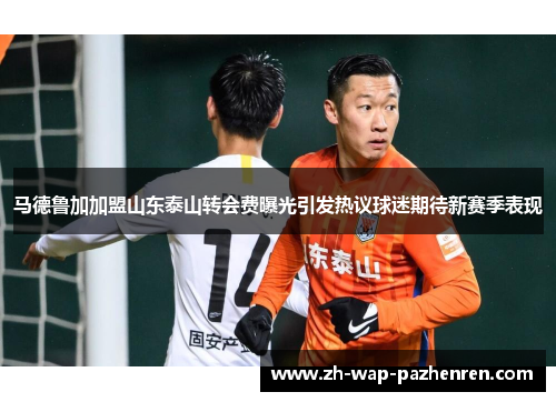 马德鲁加加盟山东泰山转会费曝光引发热议球迷期待新赛季表现 马德鲁加加盟山东泰山转会费曝光引发热议球迷期待新赛季表现