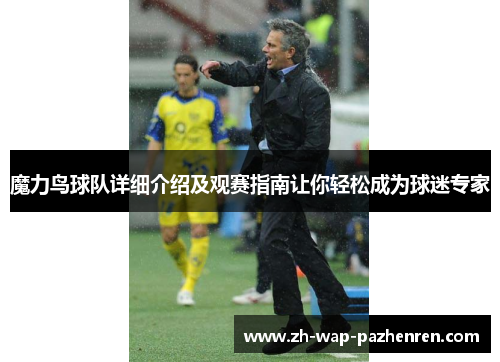 魔力鸟球队详细介绍及观赛指南让你轻松成为球迷专家 魔力鸟球队详细介绍及观赛指南让你轻松成为球迷专家