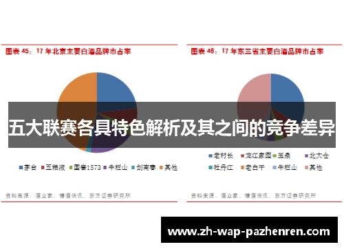 五大联赛各具特色解析及其之间的竞争差异